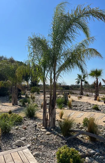 jardin éxotique à Lunel Viel près de Montpellier dans l'Hérault 34