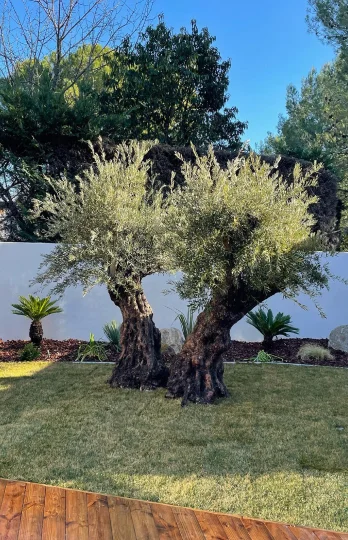 jardin méditerranéen à Lunel Viel près de Montpellier dans l'Hérault 34