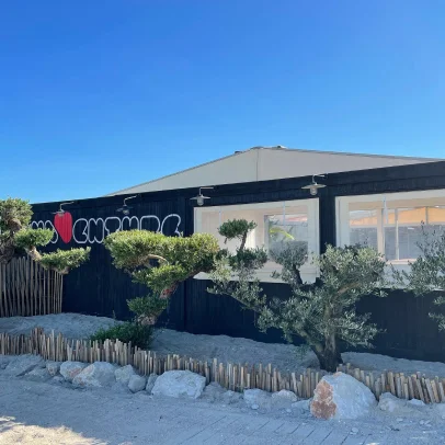 p5_decoration vegetales à Lunel Viel près de Montpellier dans l'Hérault 34