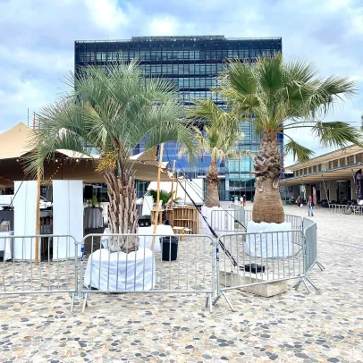 decoration vegetales pour plages à Lunel Viel près de Montpellier dans l'Hérault 34