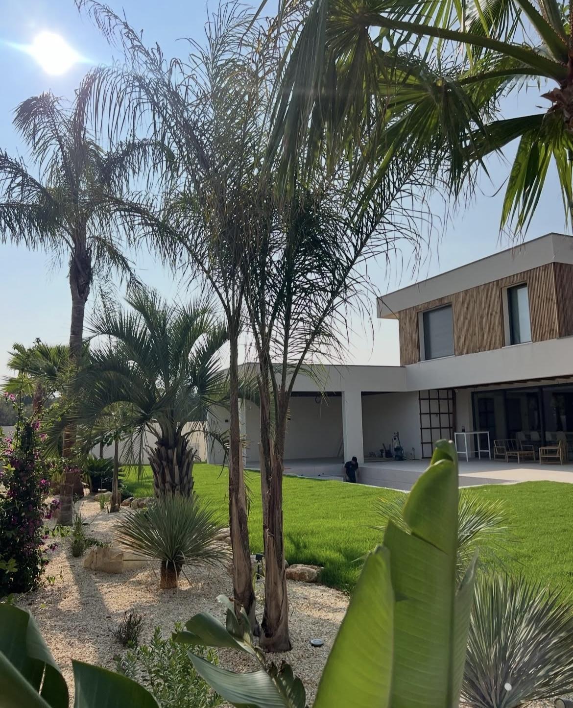 Créer un jardin unique en Hérault : L’expertise d’un paysagiste au service de vos espaces verts